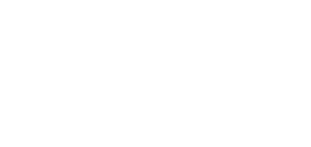 Duco Logo