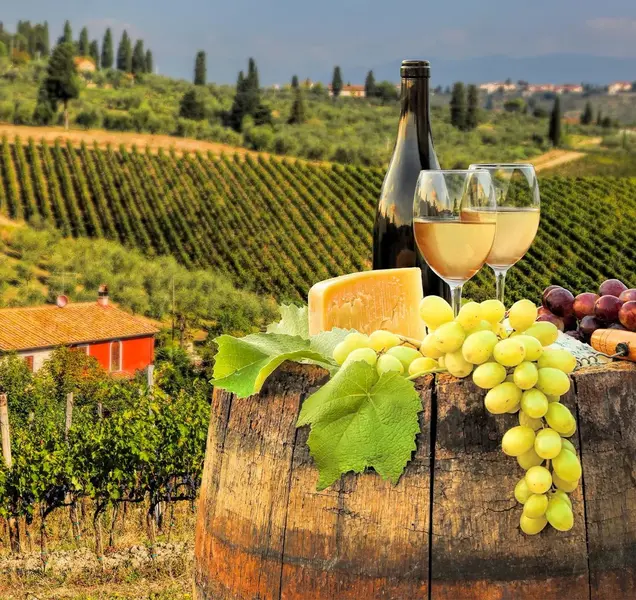 Chianti Wine Tour
