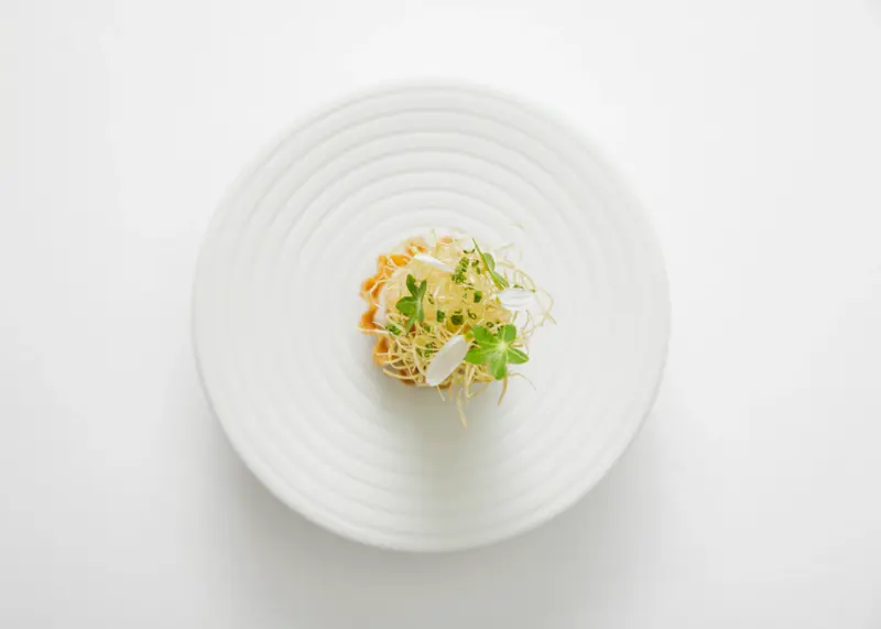 Michelin-Starred Excellence