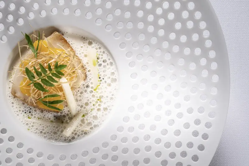 Mediterranean Philosophy